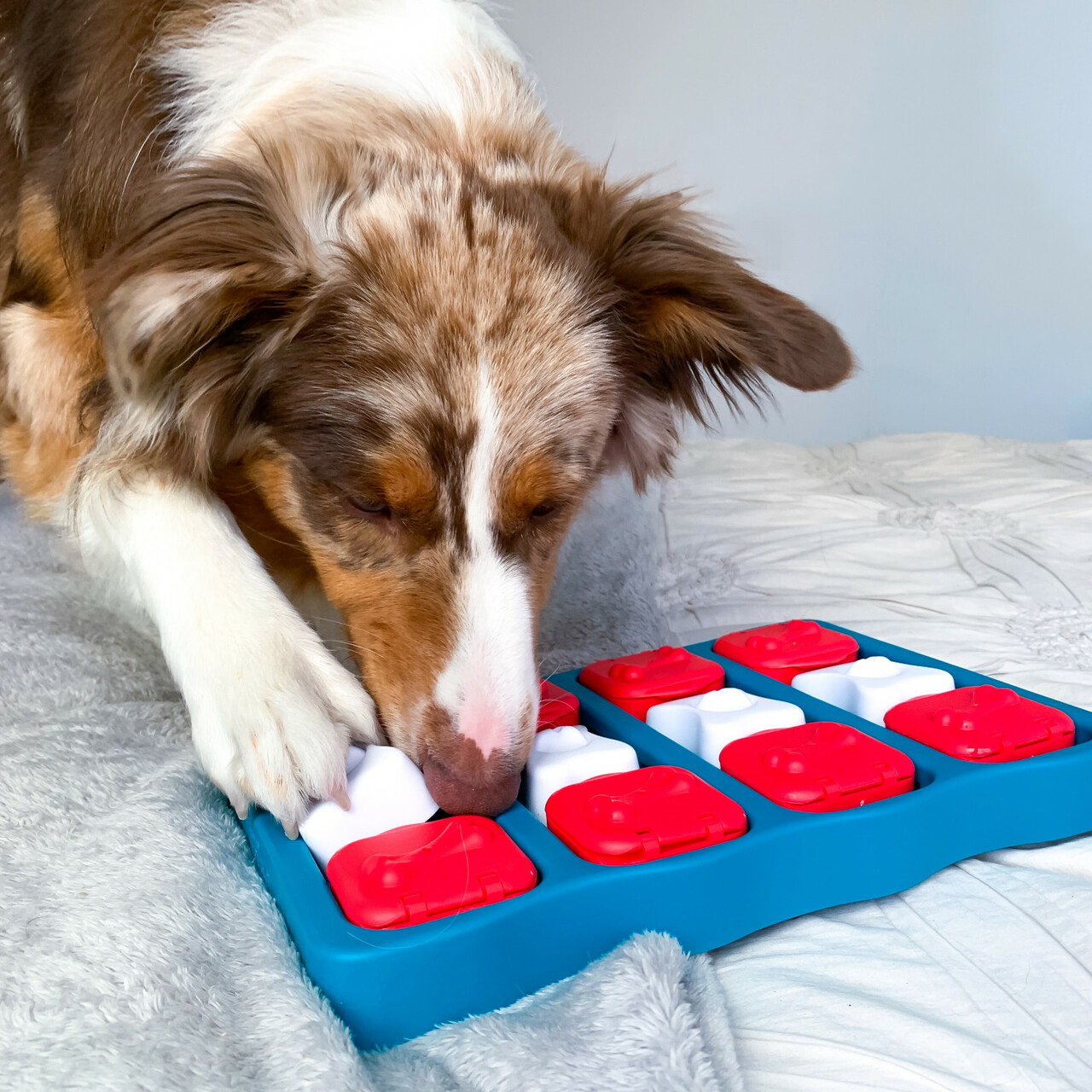 Dog Brick Nivå 2, 33 cm Aktiveringsleksaker Pawpalace