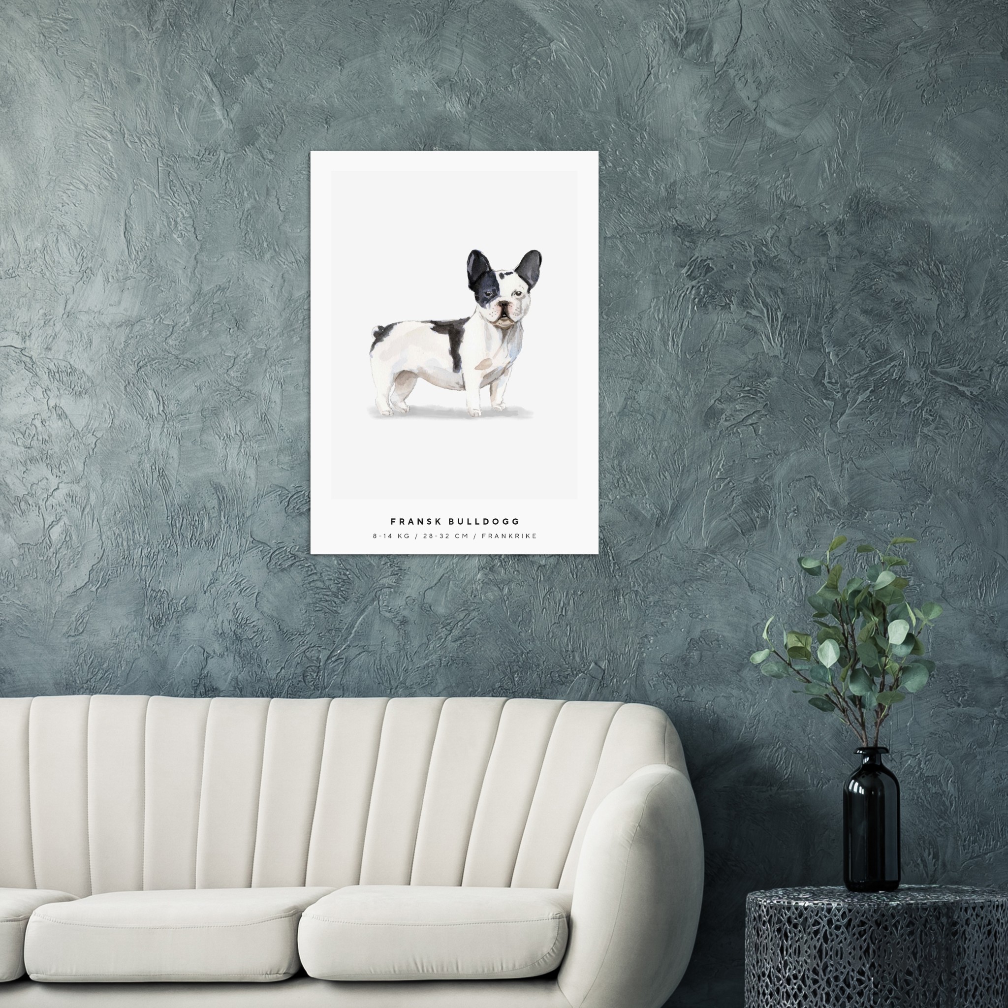 Poster Fransk Bulldogg Hund Pawpalace