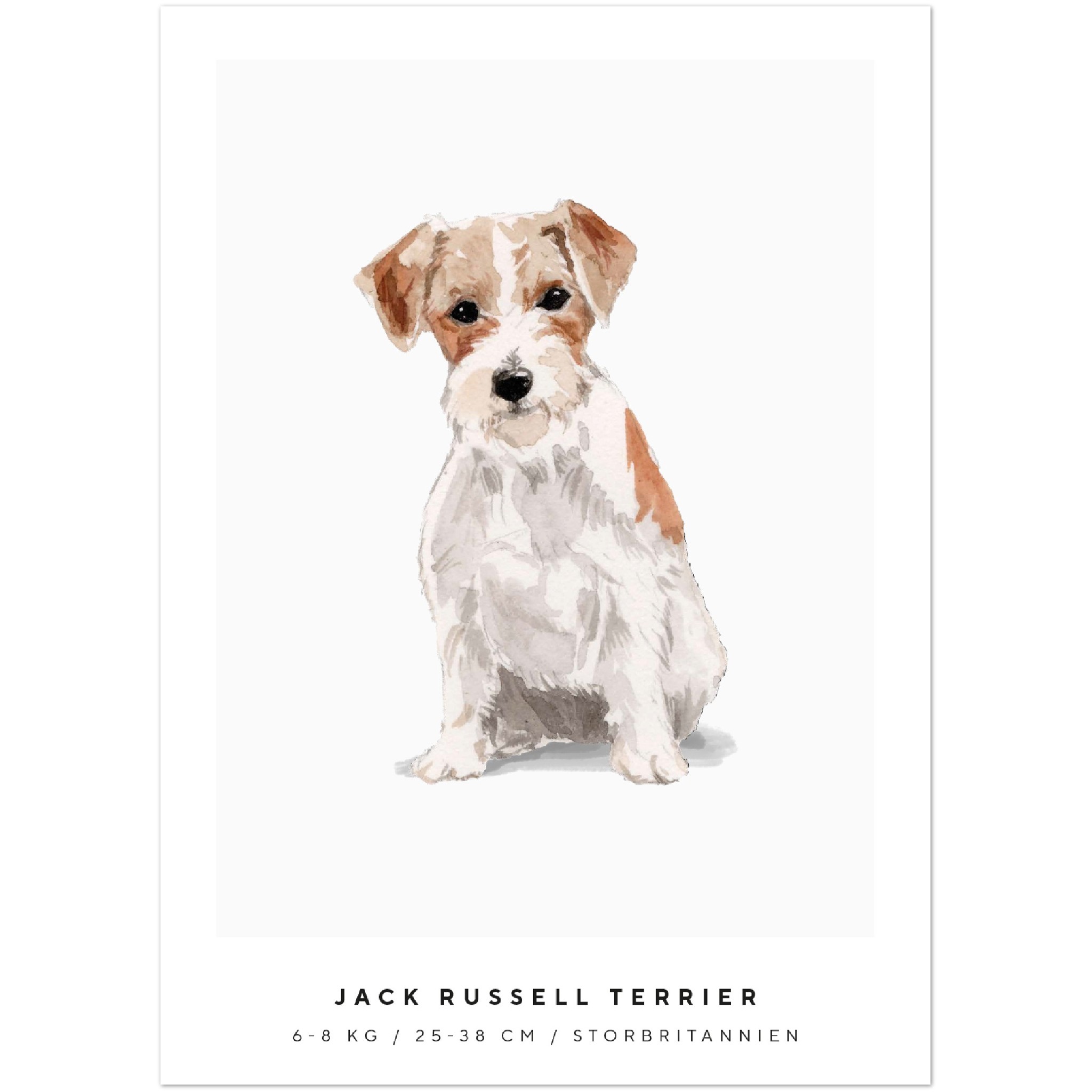 Poster Jack Russell Terrier Hund Pawpalace