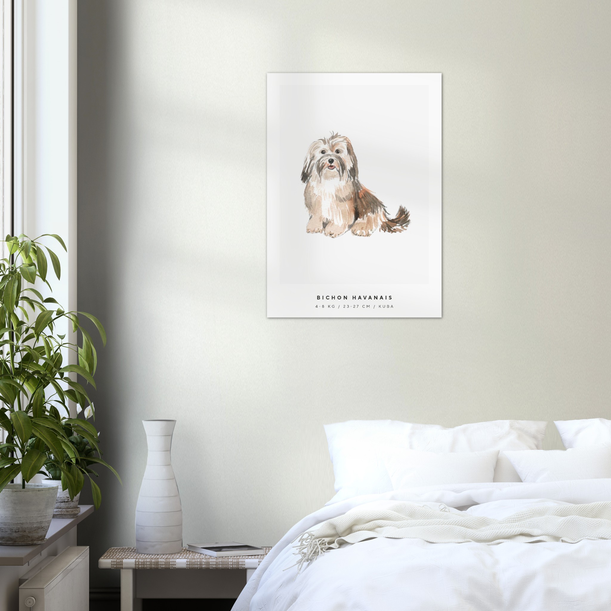 Poster Bichon Havanais Hund Pawpalace