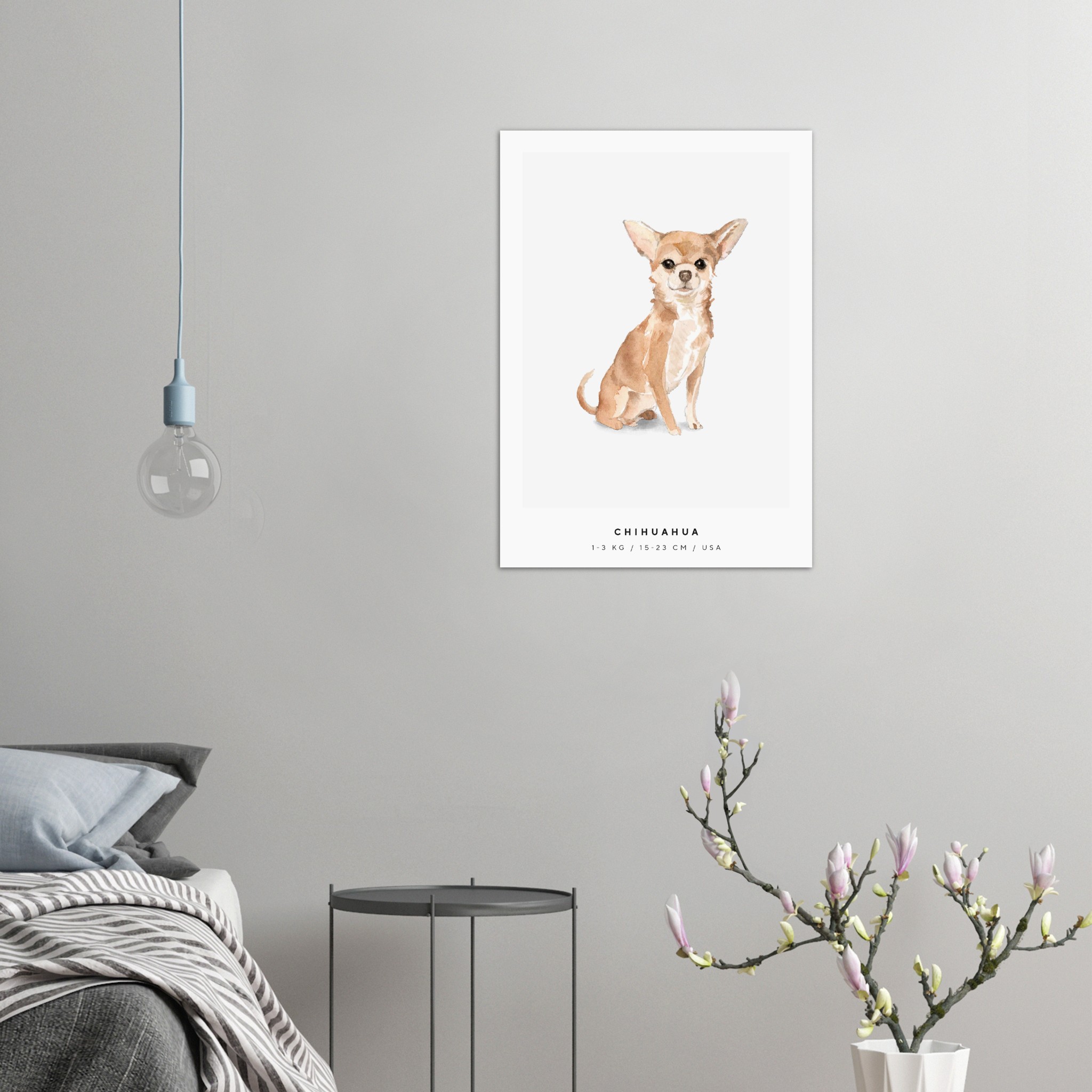 Poster Chihuahua Hund Pawpalace