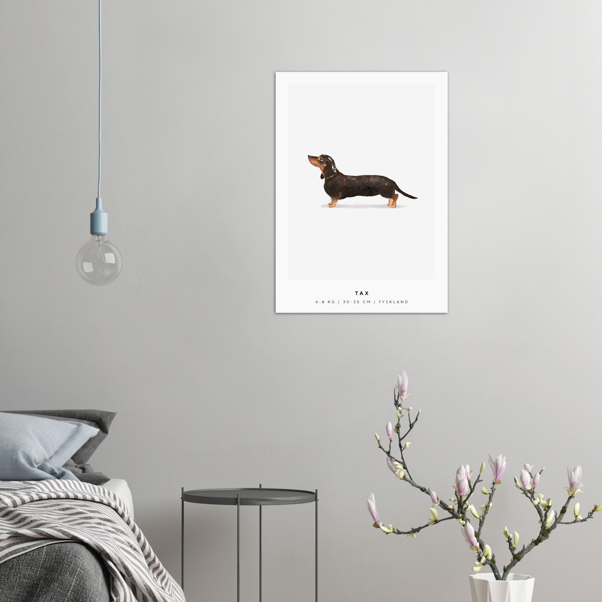 Poster Tax Hund Pawpalace