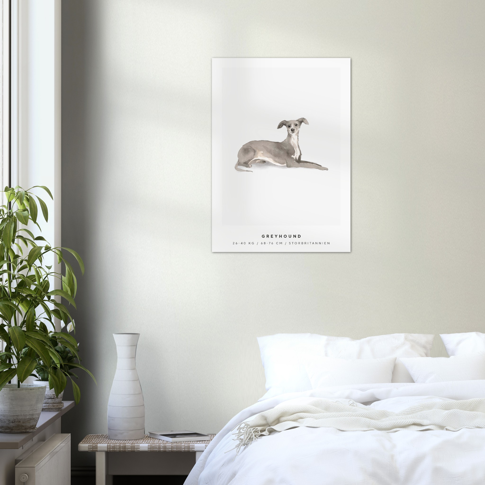 Poster Greyhound Hund Pawpalace