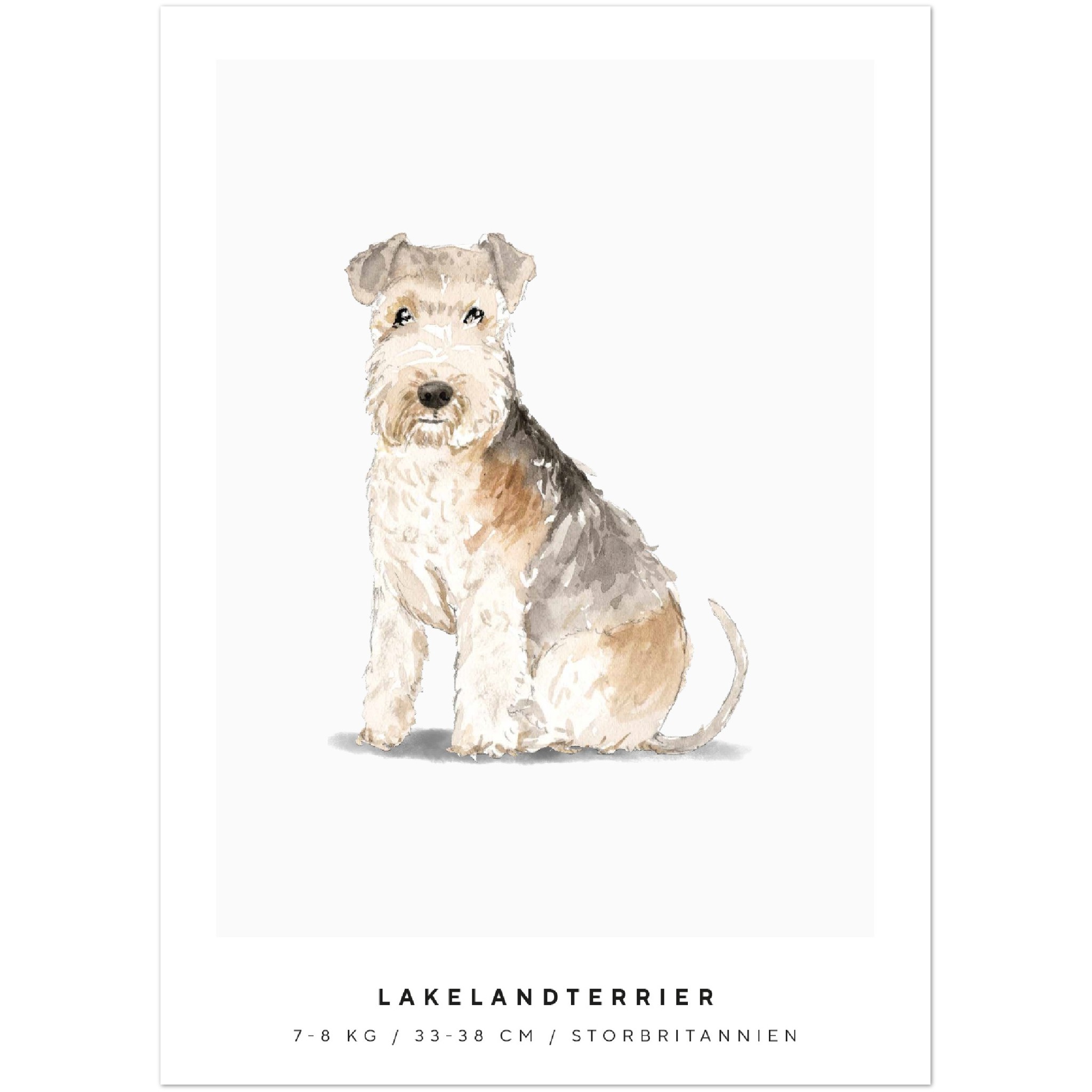 Poster Lakelandterrier Hund Pawpalace