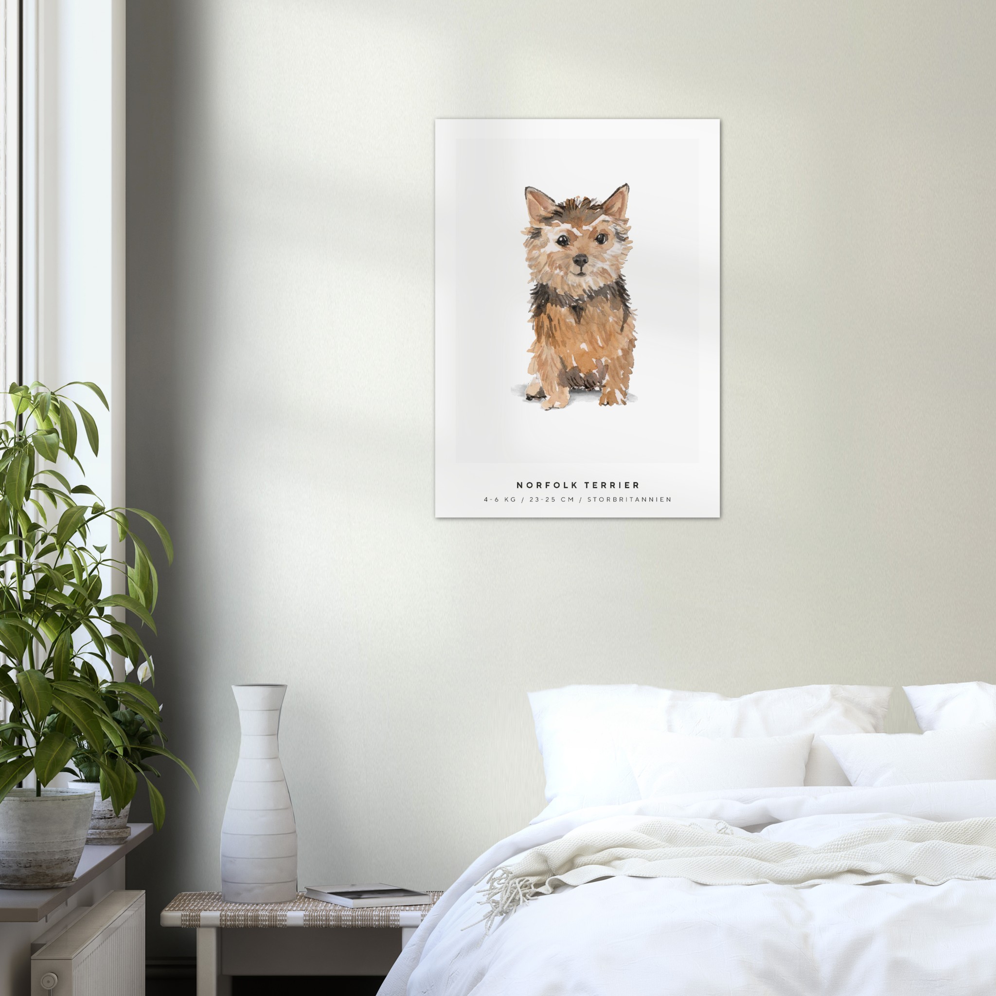 Poster Norfolk Terrier Hund Pawpalace