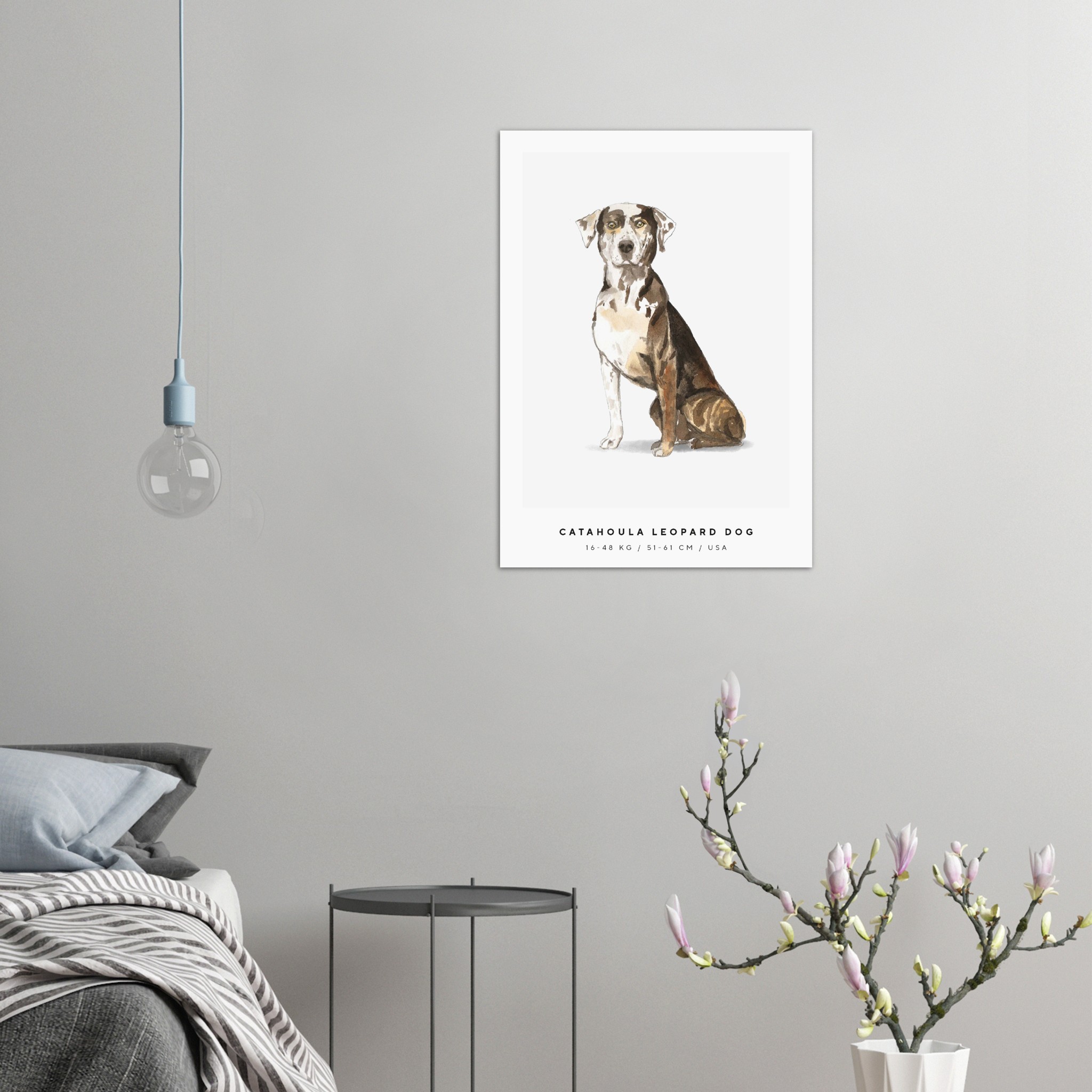 Poster Catahoula Leopard Dog Hund Pawpalace