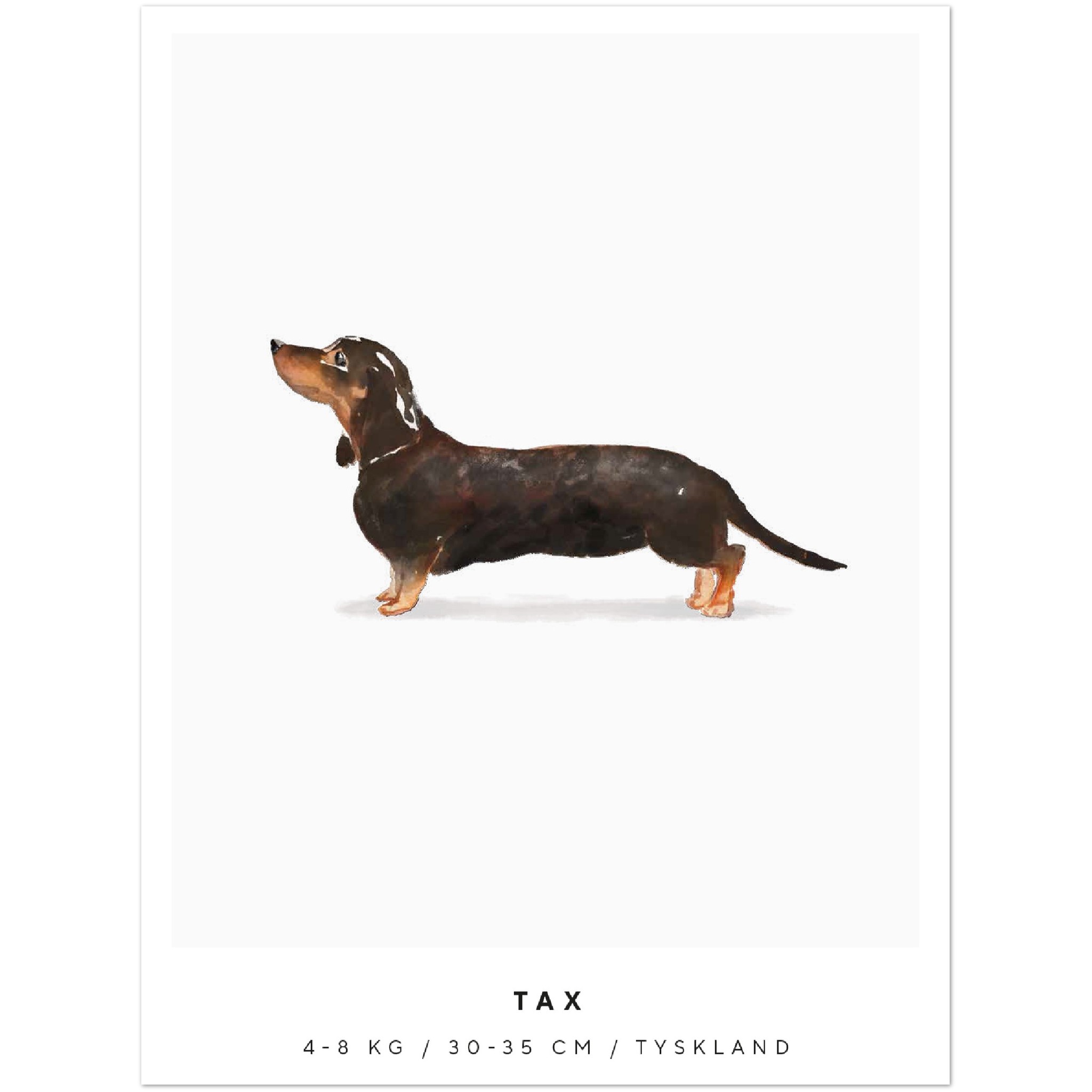 Poster Tax Hund Pawpalace