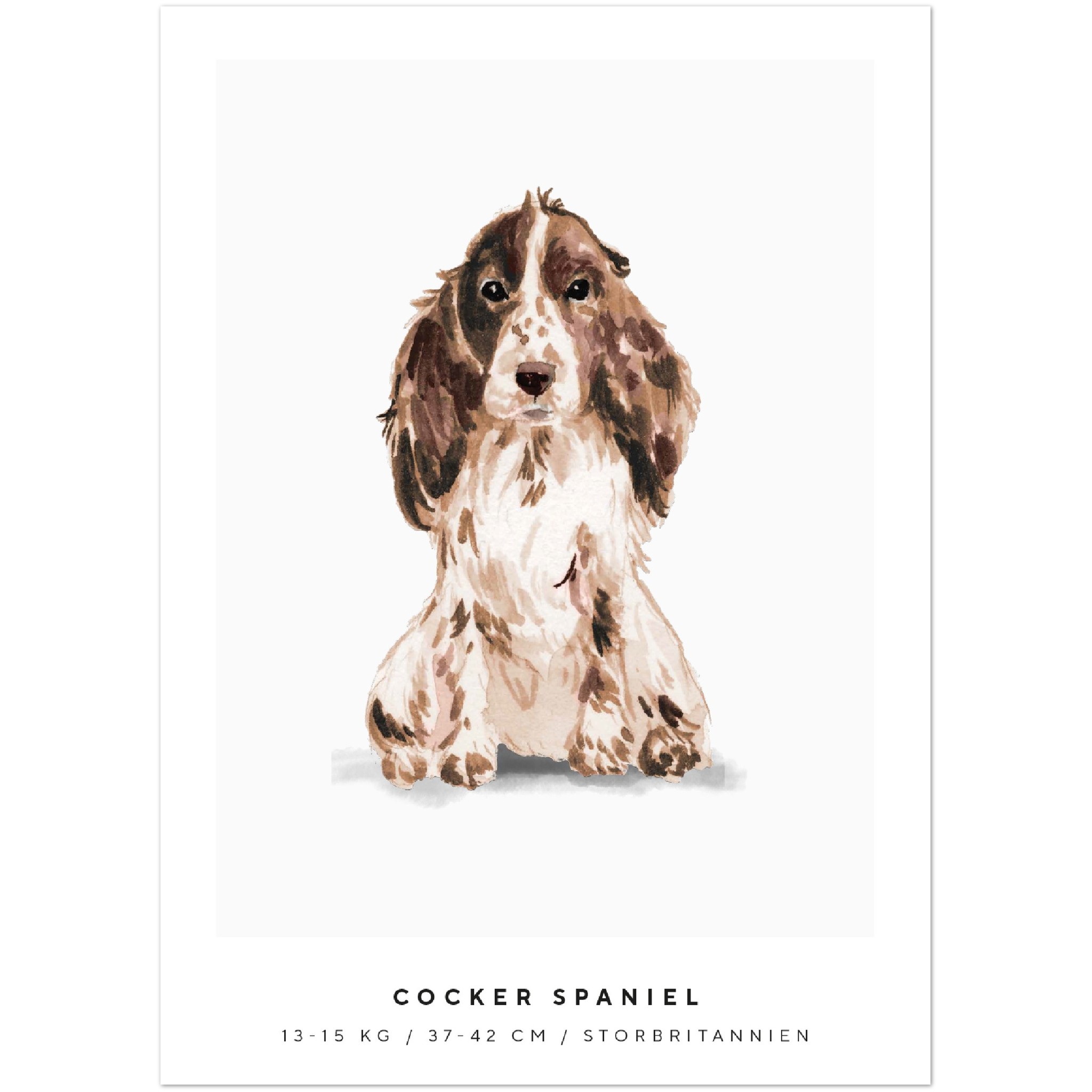 Poster Cocker Spaniel Hund Pawpalace