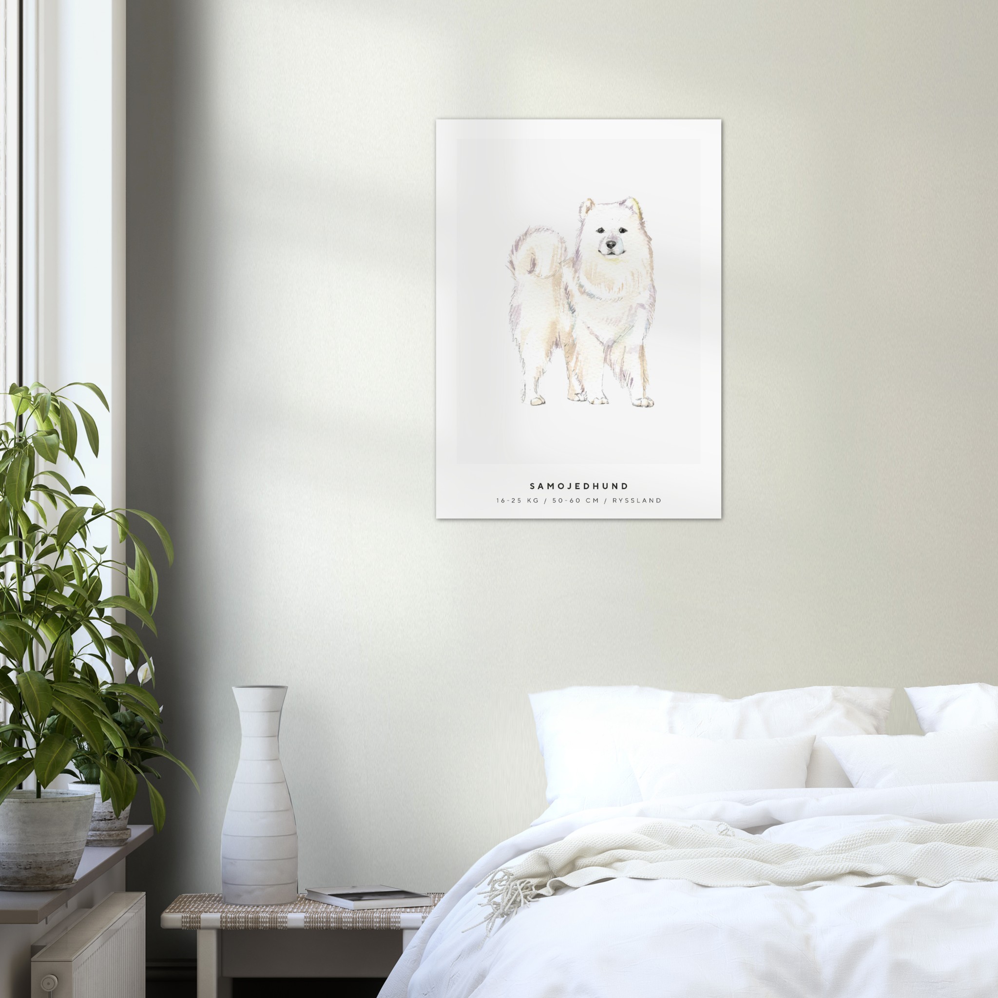 Poster Samojedhund Hund Pawpalace