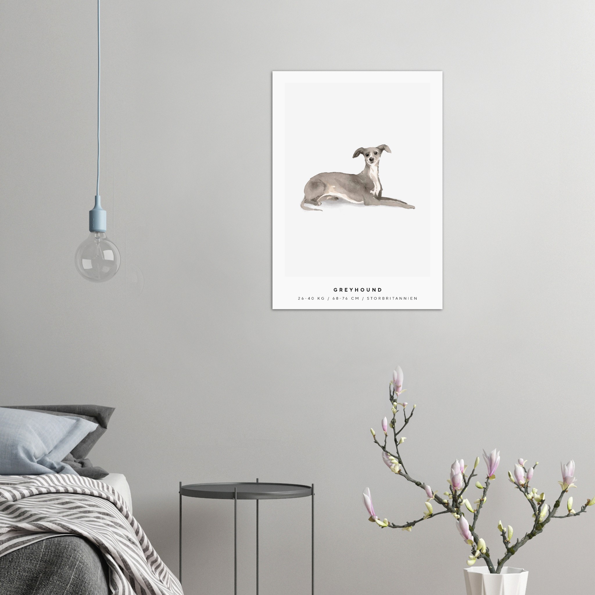 Poster Greyhound Hund Pawpalace