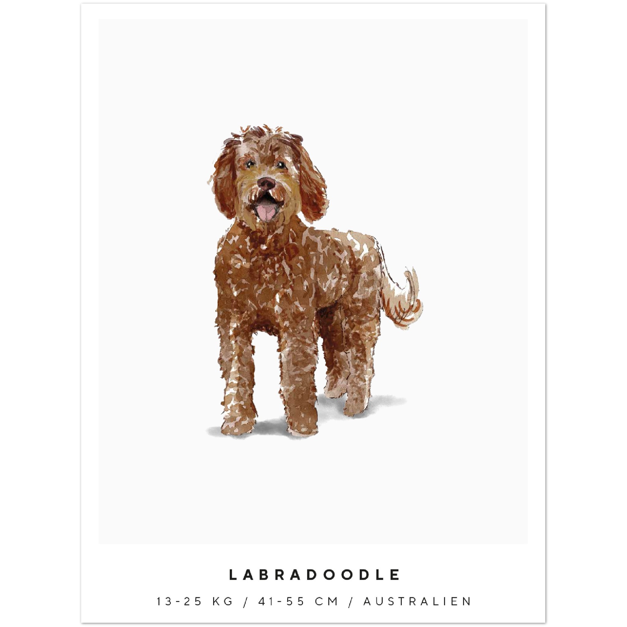 Poster Labradoodle Hund Pawpalace