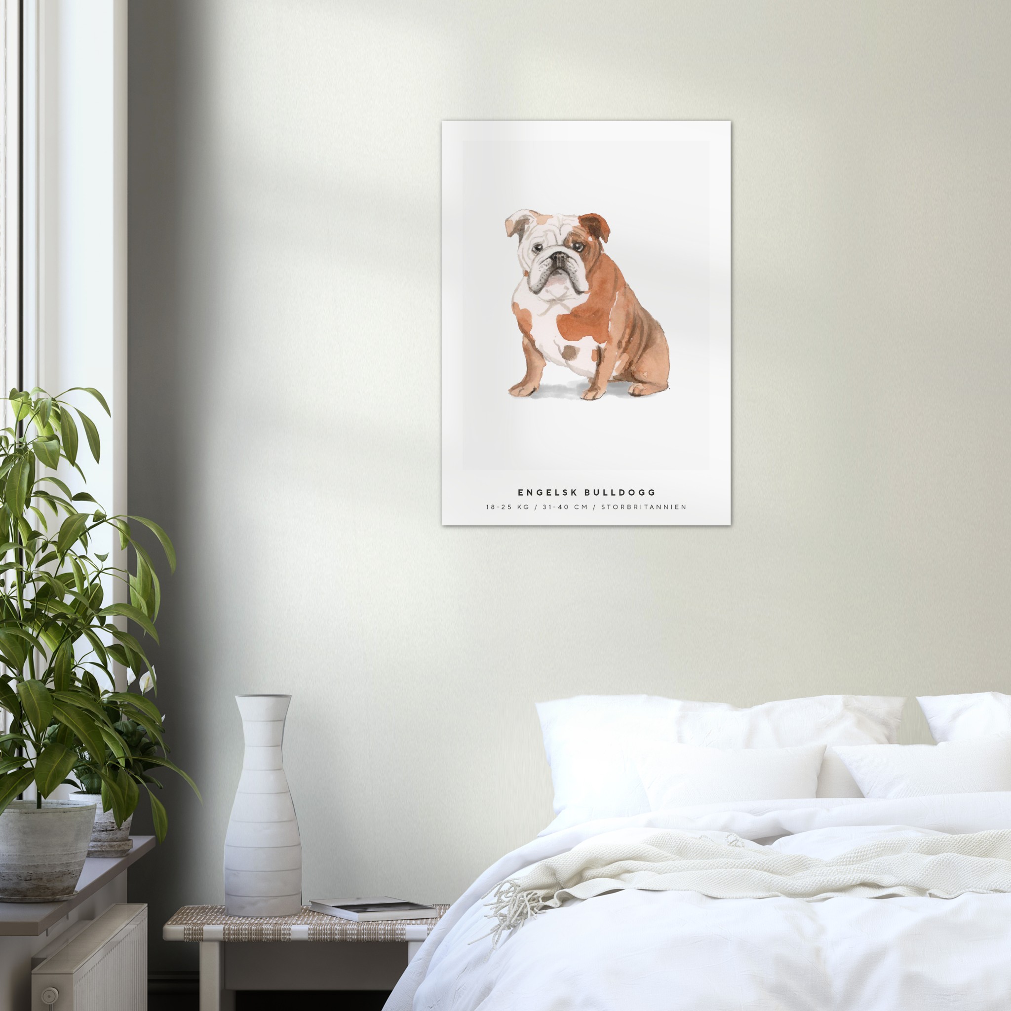 Poster Engelsk Bulldogg Hund Pawpalace