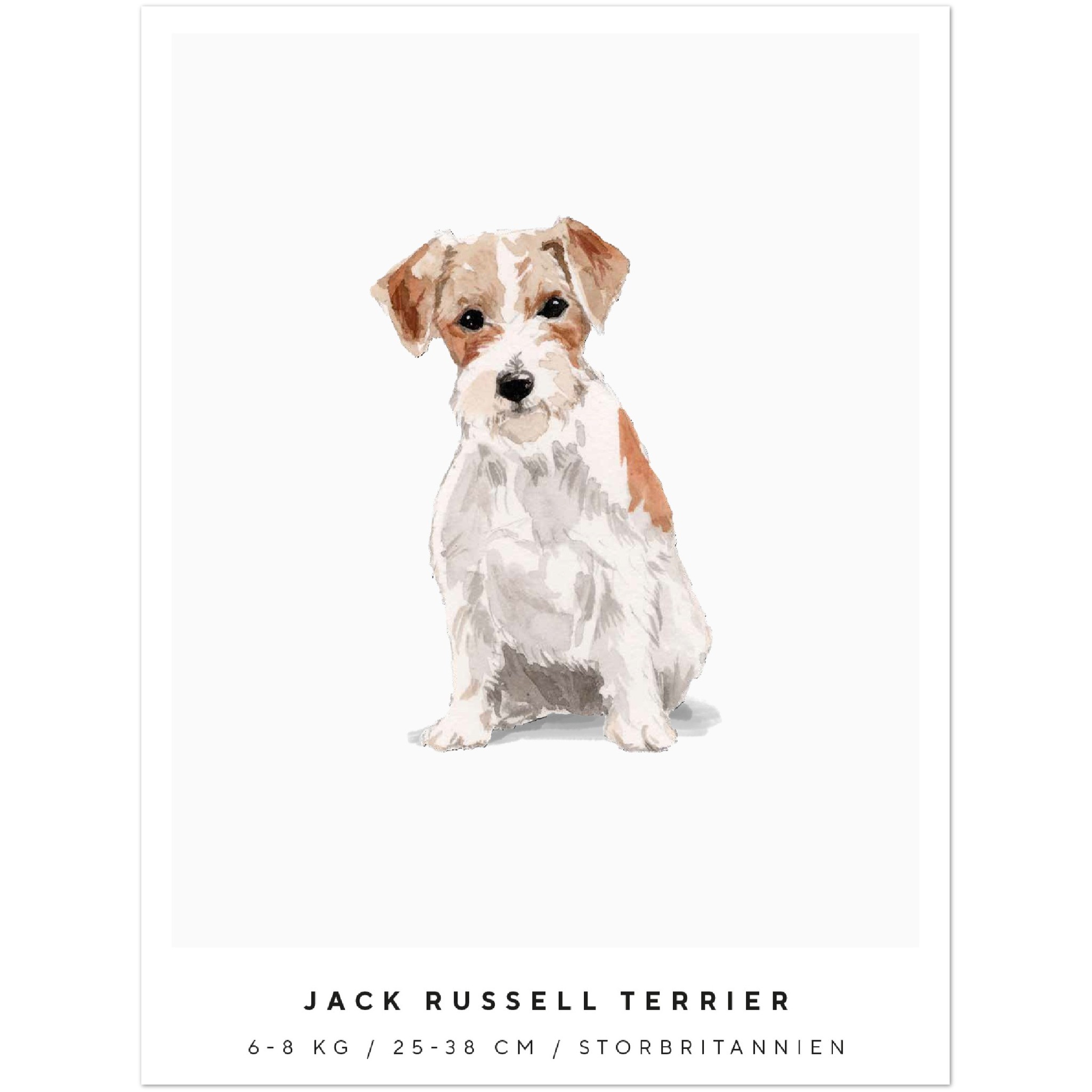 Poster Jack Russell Terrier Hund Pawpalace