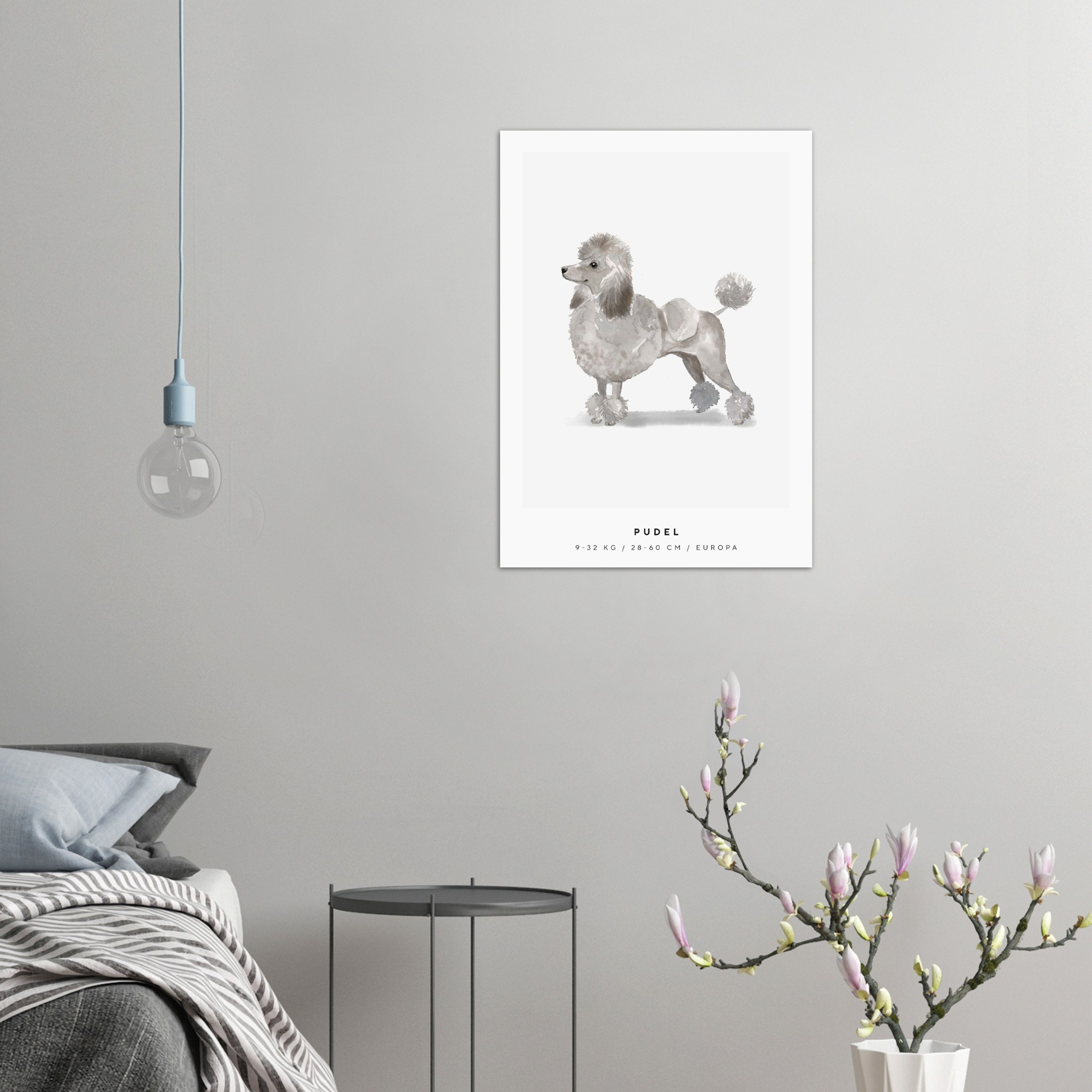 Poster Pudel Hund Pawpalace